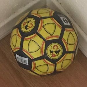 Meet your Posher, Lizz